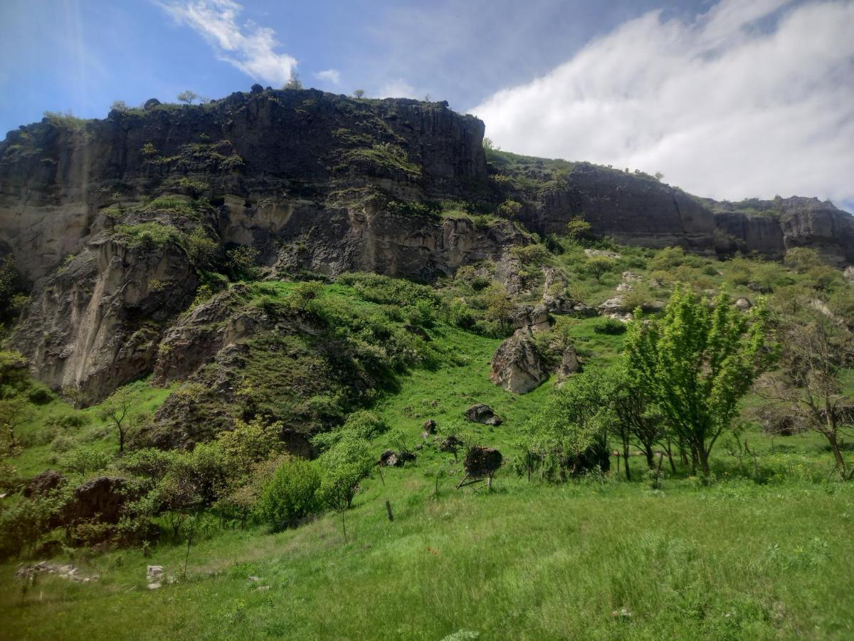 Сhachkari Bed and Breakfast Vardzia  Eksteriør billede